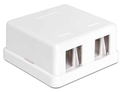 Carcasa Keystone perete 2 Porturi alb, Delock 86207