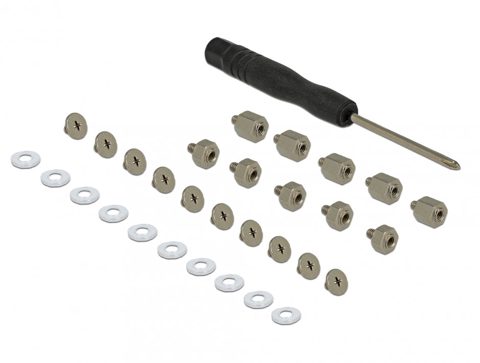 Set 31 piese (Suruburi) pentru montarea SSD-ului M.2, Delock 18288